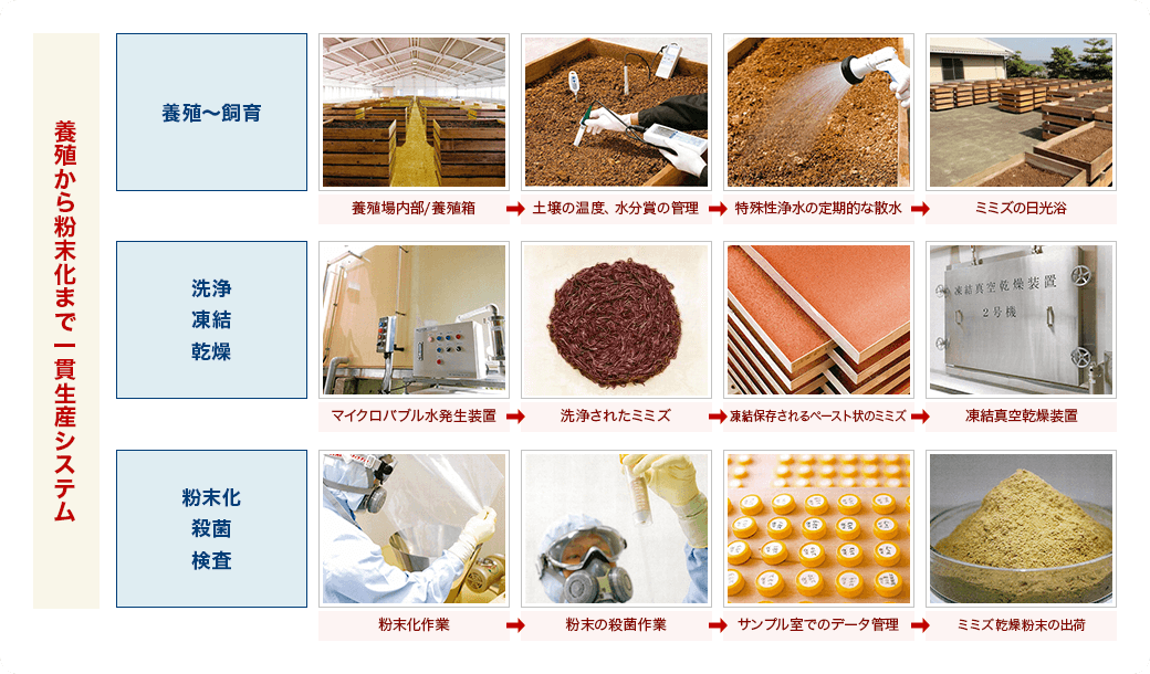 ミミズ乾燥粉末の原料のミミズは、養殖から粉末化まで一貫生産システムで管理されています。