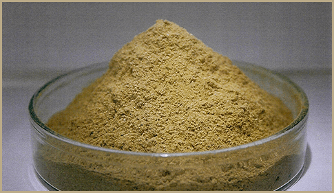 ミミズ乾燥粉末（赤ミミズ酵素）サプリ「Gokuryu-極流-」に含まれるミミズ乾燥粉末は、高い安全性が確認されています。