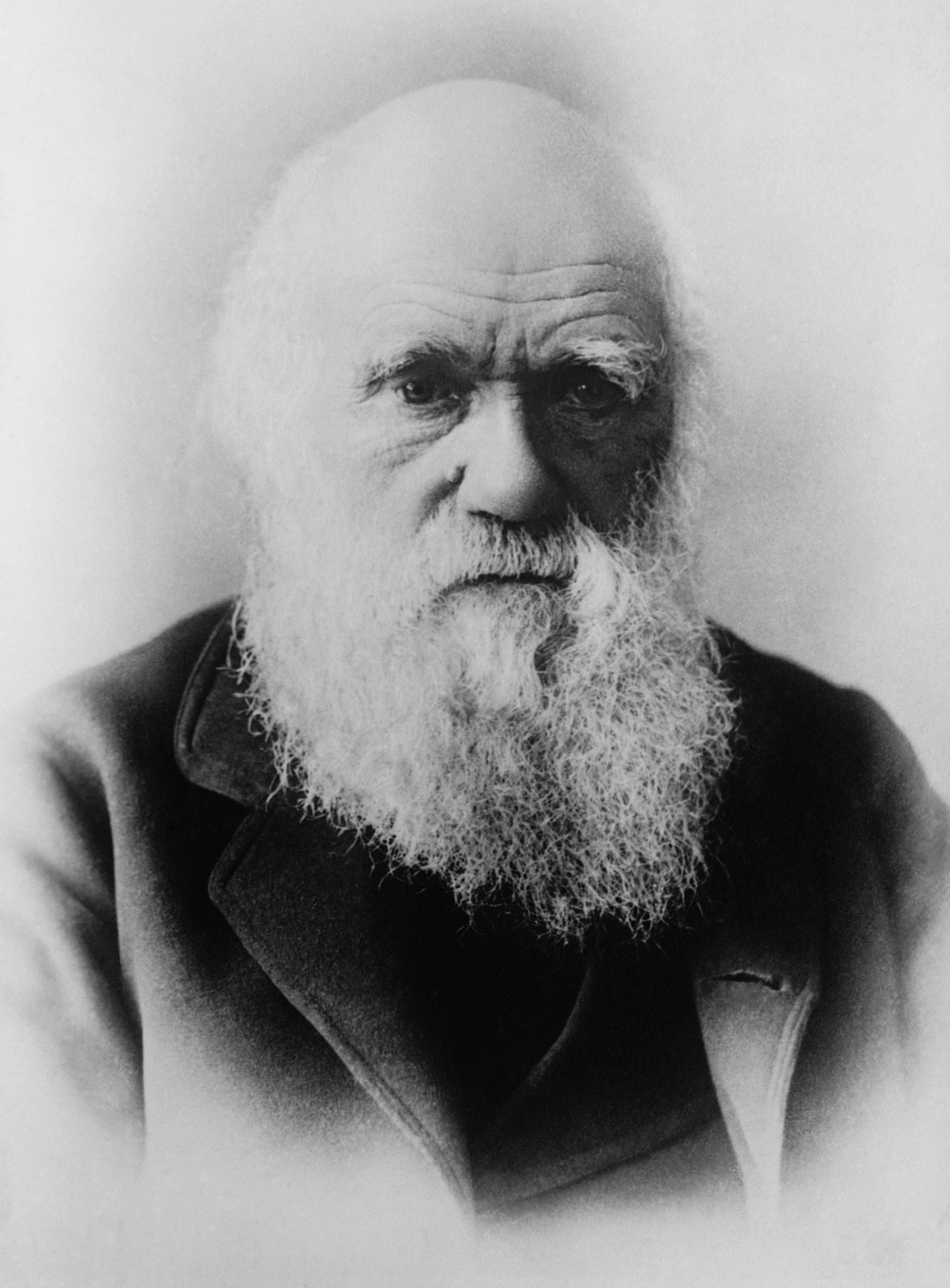 ミミズの研究に生涯を捧げた、チャールズ・ダーウィン